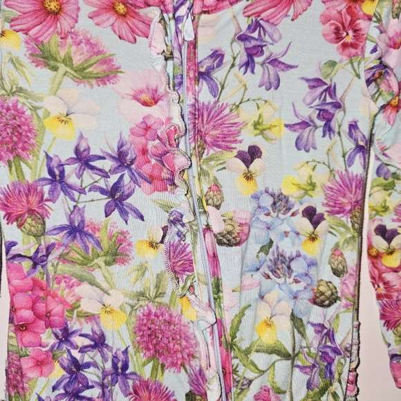 Bundle, Posh Peanut 18-24mo Girls Bamboo Pajamas - Picture 7 of 14